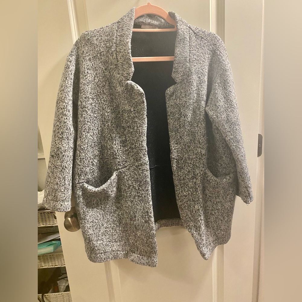 Zara Pea Jacket